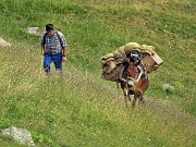 34 Arriva alla Baita 'Minchuchi' un primo gran carico in groppa al mulo 
